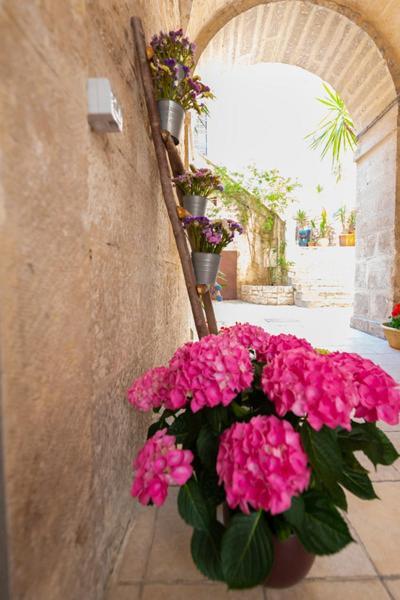 Il Saraceno Apartment Giovinazzo Exteriér fotografie
